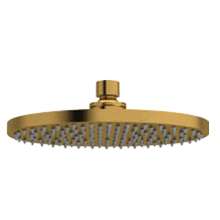 OH Shower - Round F160160PGD - 200mm